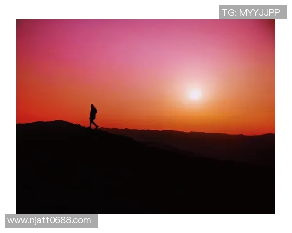 深度对话：赵强如何在网球人生中追寻梦想与挑战